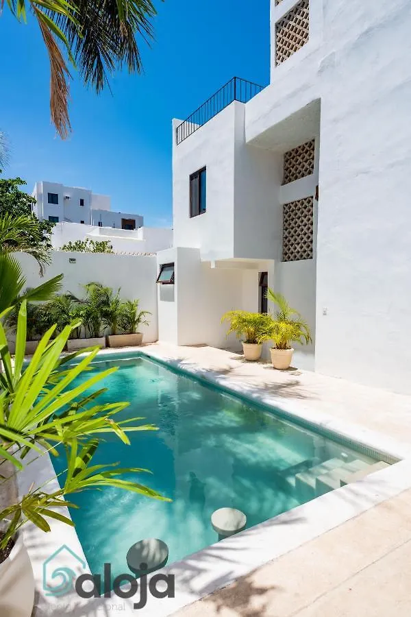 Vica Guest House Con Piscina En La Entrada De La Zona Hotelera Cancún 0*,