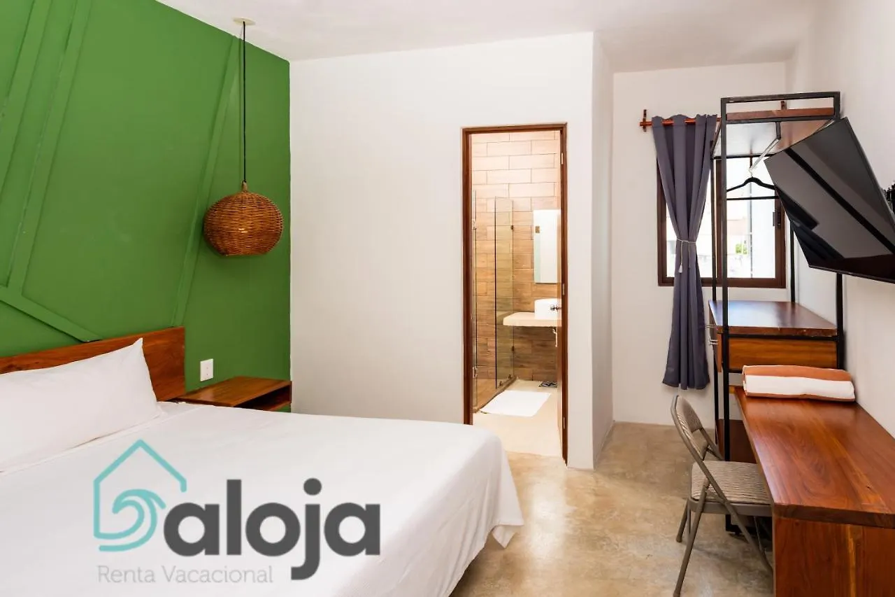 Vica Guest House Con Piscina En La Entrada De La Zona Hotelera Cancún