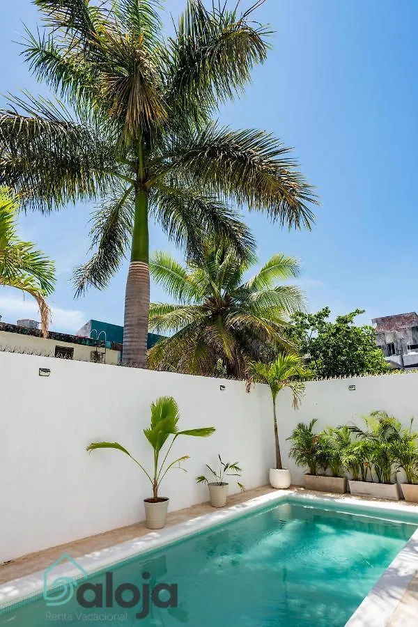 Vica Guest House Con Piscina En La Entrada De La Zona Hotelera Cancún 0*,