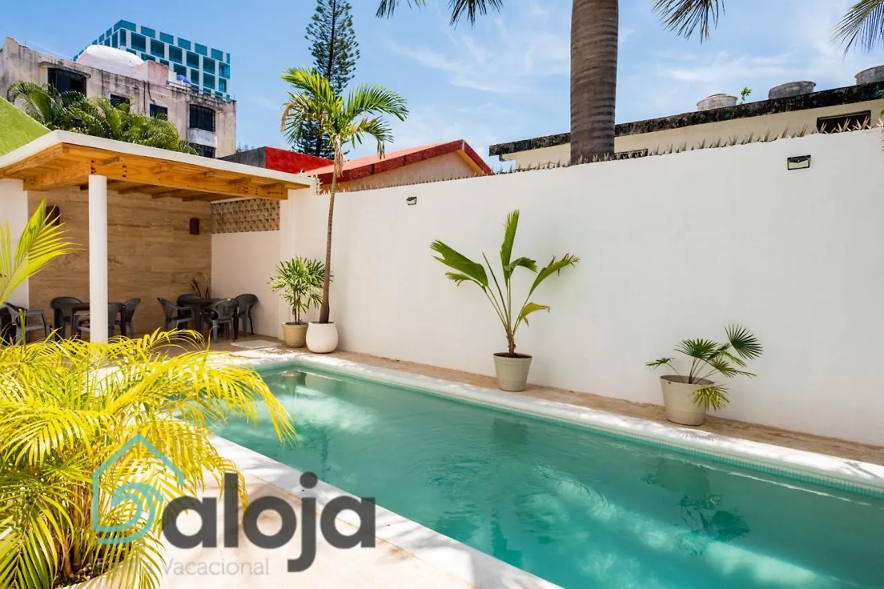 Vica Guest House Con Piscina En La Entrada De La Zona Hotelera Cancun Mexico