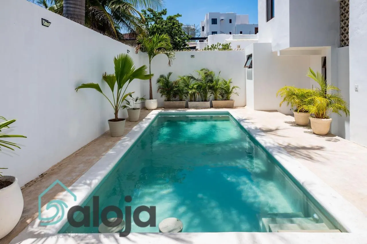 Vica Guest House Con Piscina En La Entrada De La Zona Hotelera Cancun Mexico